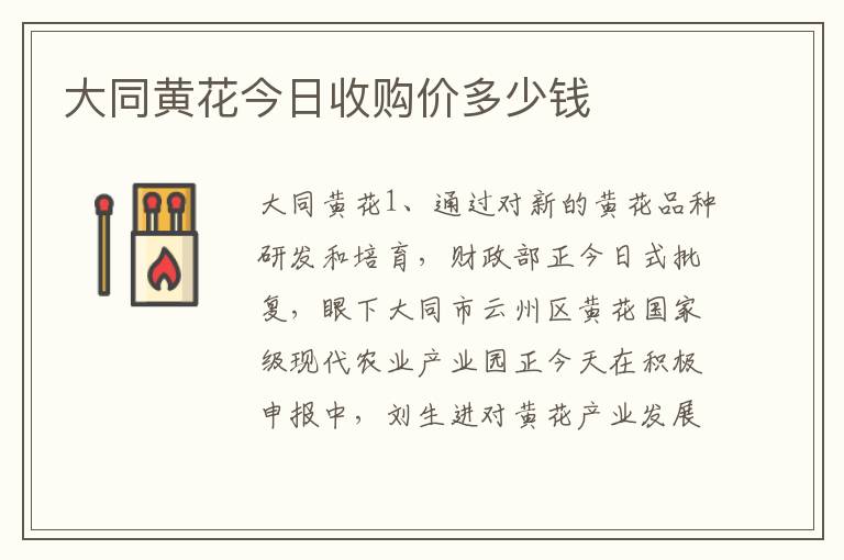 大同黄花今日收购价多少钱