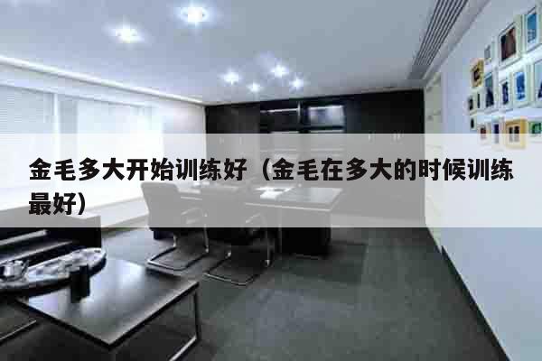 金毛多大开始训练好（金毛在多大的时候训练最好）