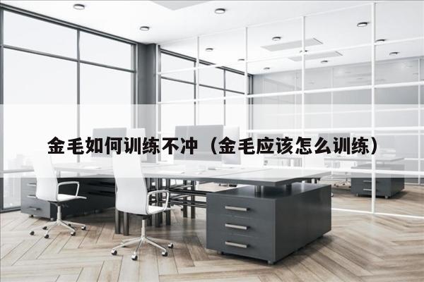 金毛如何训练不冲（金毛应该怎么训练）