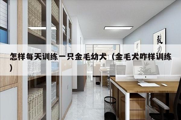 怎样每天训练一只金毛幼犬（金毛犬咋样训练）