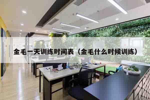 金毛一天训练时间表（金毛什么时候训练）