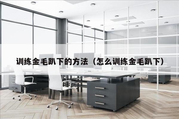训练金毛趴下的方法（怎么训练金毛趴下）
