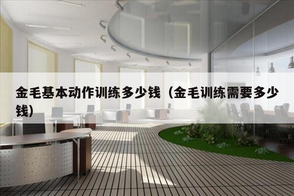 金毛基本动作训练多少钱（金毛训练需要多少钱）