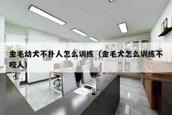 金毛幼犬不扑人怎么训练（金毛犬怎么训练不咬人）