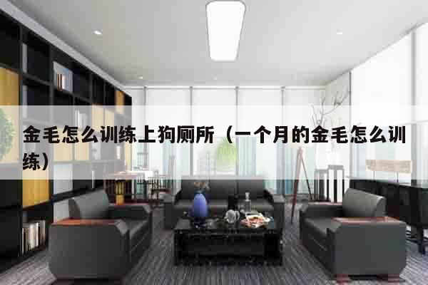 金毛怎么训练上狗厕所（一个月的金毛怎么训练）