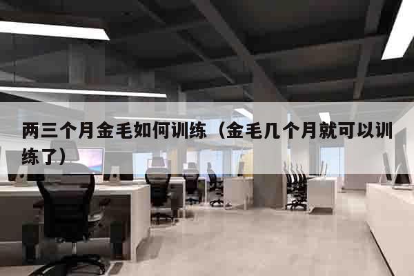 两三个月金毛如何训练（金毛几个月就可以训练了）