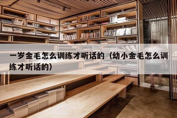 一岁金毛怎么训练才听话的（幼小金毛怎么训练才听话的）