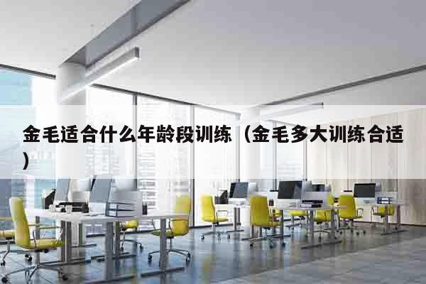 金毛适合什么年龄段训练（金毛多大训练合适）