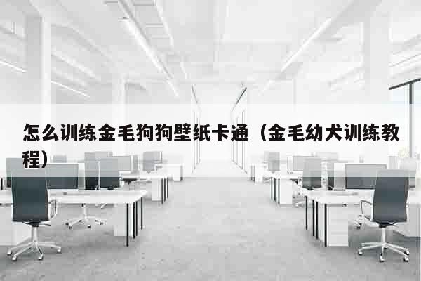 怎么训练金毛狗狗壁纸卡通（金毛幼犬训练教程）