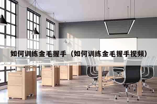 如何训练金毛握手（如何训练金毛握手视频）