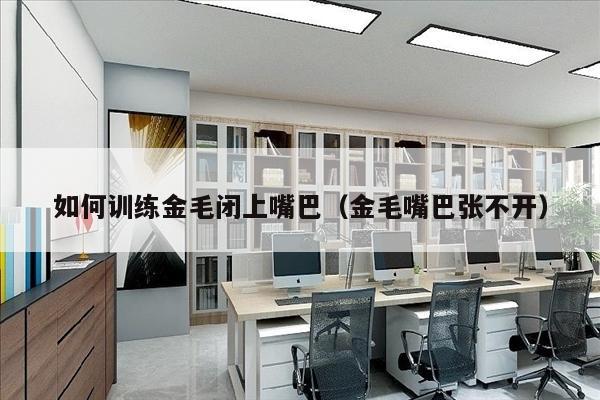如何训练金毛闭上嘴巴（金毛嘴巴张不开）