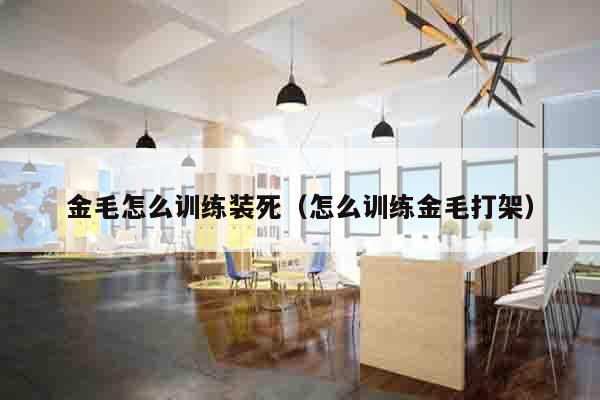 金毛怎么训练装死（怎么训练金毛打架）