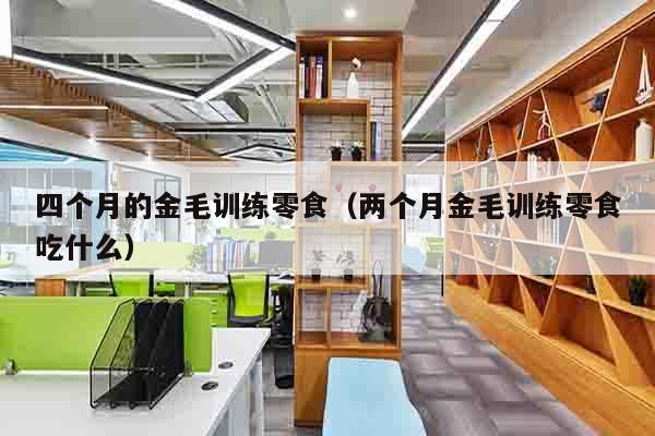 四个月的金毛训练零食（两个月金毛训练零食吃什么）