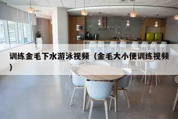 训练金毛下水游泳视频（金毛大小便训练视频）