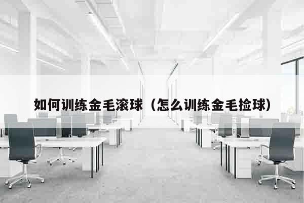 如何训练金毛滚球（怎么训练金毛捡球）