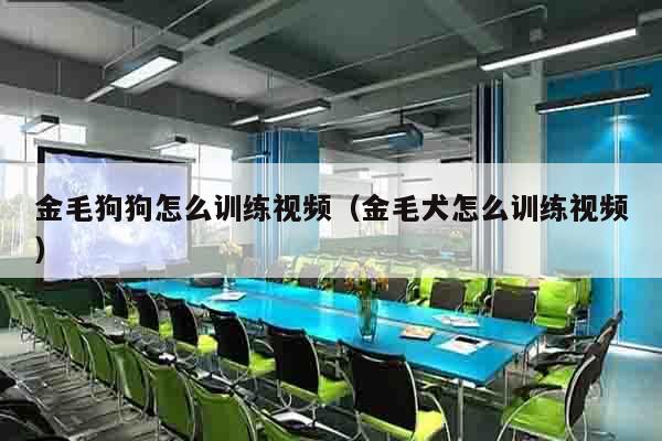 金毛狗狗怎么训练视频（金毛犬怎么训练视频）