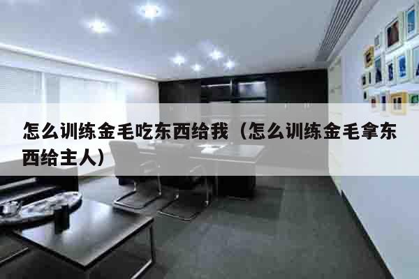 怎么训练金毛吃东西给我（怎么训练金毛拿东西给主人）