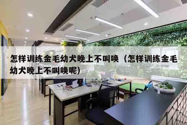 怎样训练金毛幼犬晚上不叫唤（怎样训练金毛幼犬晚上不叫唤呢）