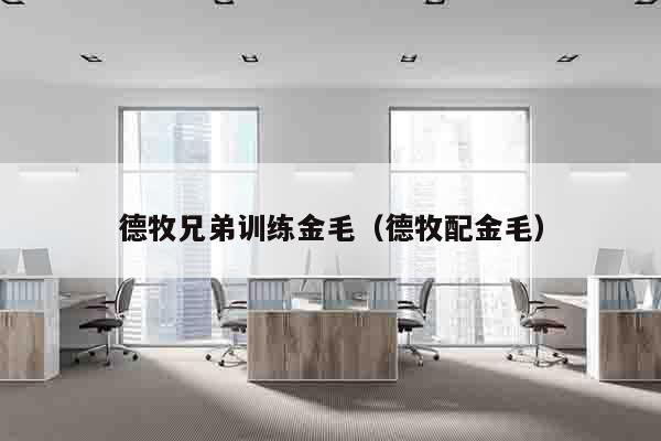 德牧兄弟训练金毛（德牧配金毛）