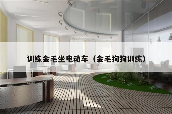 训练金毛坐电动车（金毛狗狗训练）