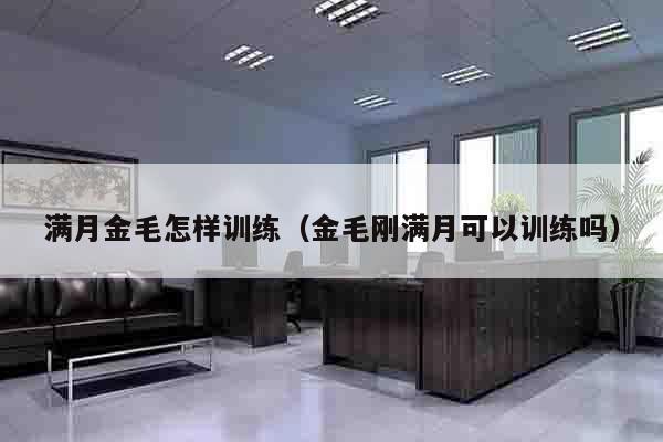 满月金毛怎样训练（金毛刚满月可以训练吗）