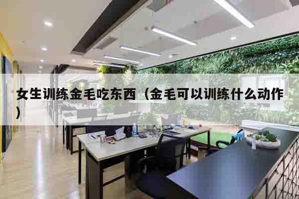 女生训练金毛吃东西（金毛可以训练什么动作）