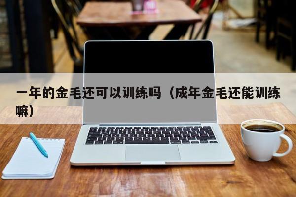 一年的金毛还可以训练吗（成年金毛还能训练嘛）