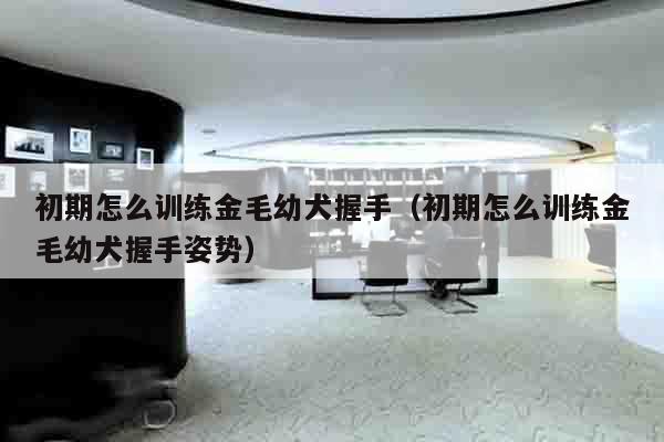 初期怎么训练金毛幼犬握手（初期怎么训练金毛幼犬握手姿势）