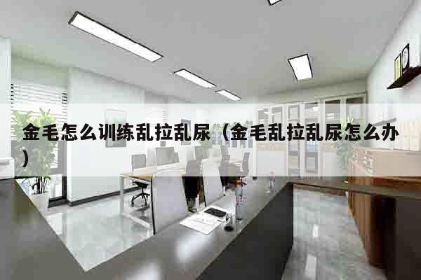金毛怎么训练乱拉乱尿（金毛乱拉乱尿怎么办）