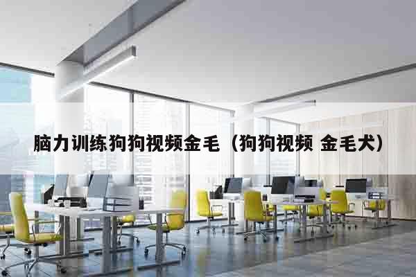 脑力训练狗狗视频金毛（狗狗视频 金毛犬）
