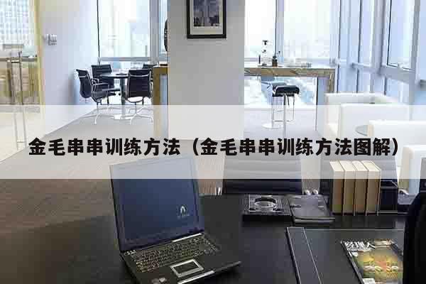 金毛串串训练方法（金毛串串训练方法图解）