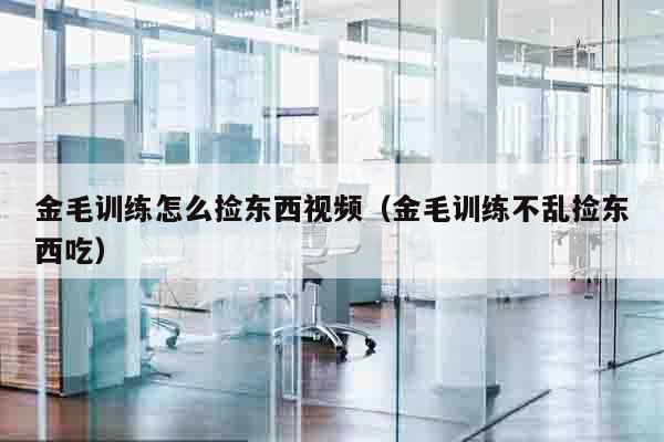 金毛训练怎么捡东西视频（金毛训练不乱捡东西吃）
