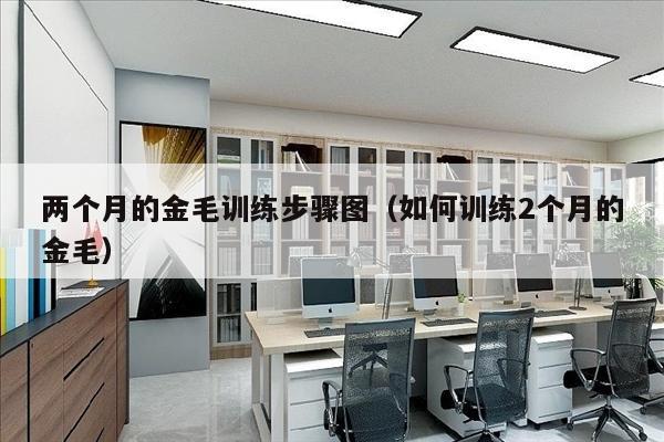 两个月的金毛训练步骤图（如何训练2个月的金毛）