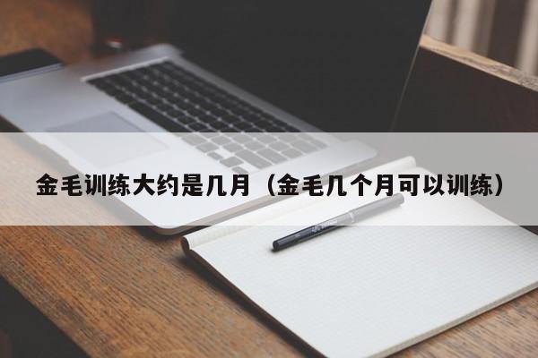 金毛训练大约是几月（金毛几个月可以训练）
