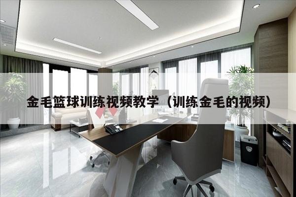 金毛篮球训练视频教学（训练金毛的视频）