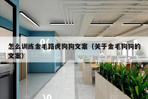 怎么训练金毛路虎狗狗文案（关于金毛狗狗的文案）