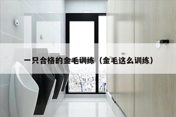 一只合格的金毛训练（金毛这么训练）