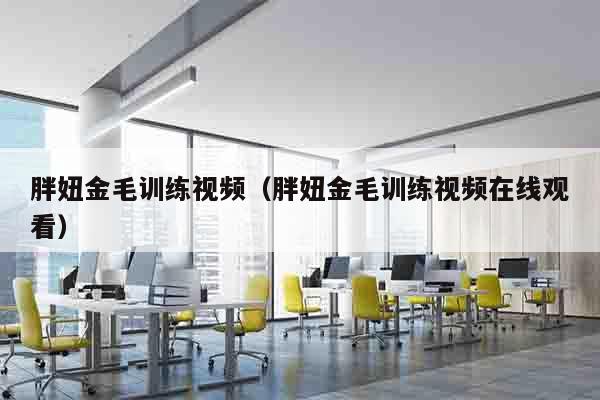 胖妞金毛训练视频（胖妞金毛训练视频在线观看）