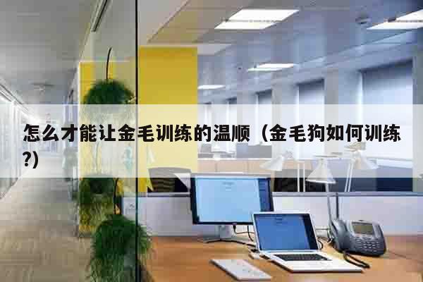 怎么才能让金毛训练的温顺（金毛狗如何训练?）