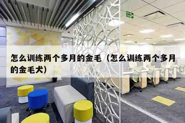 怎么训练两个多月的金毛（怎么训练两个多月的金毛犬）