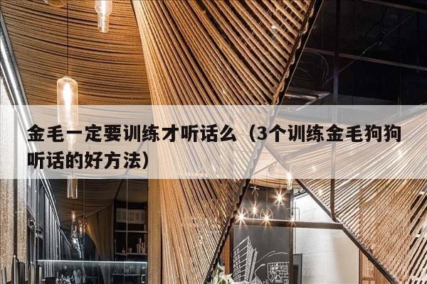 金毛一定要训练才听话么（3个训练金毛狗狗听话的好方法）