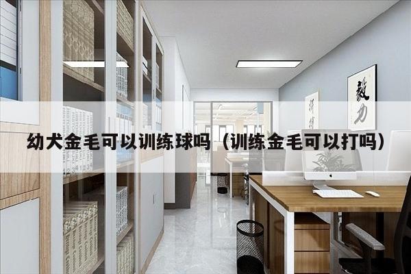 幼犬金毛可以训练球吗（训练金毛可以打吗）