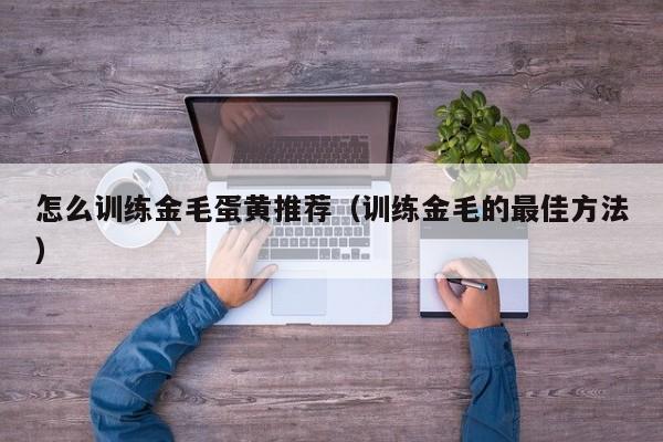 怎么训练金毛蛋黄推荐（训练金毛的最佳方法）