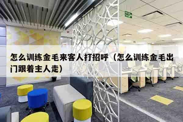 怎么训练金毛来客人打招呼（怎么训练金毛出门跟着主人走）