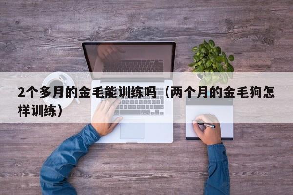 2个多月的金毛能训练吗（两个月的金毛狗怎样训练）
