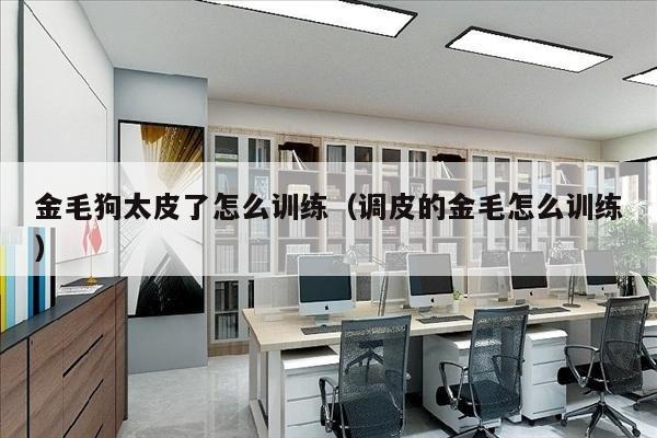 金毛狗太皮了怎么训练（调皮的金毛怎么训练）