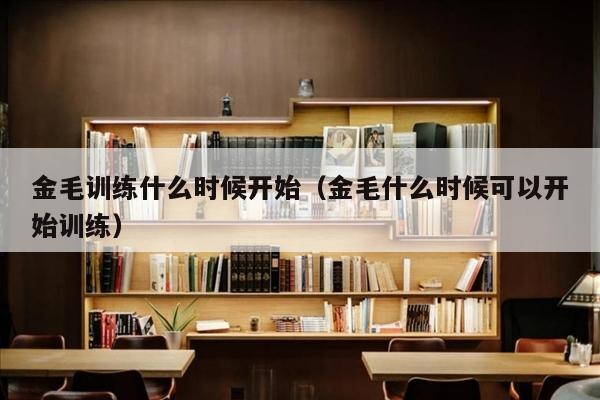 金毛训练什么时候开始（金毛什么时候可以开始训练）