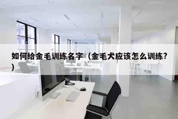 如何给金毛训练名字（金毛犬应该怎么训练?）