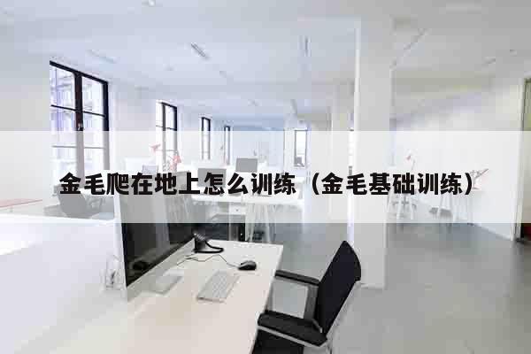 金毛爬在地上怎么训练（金毛基础训练）