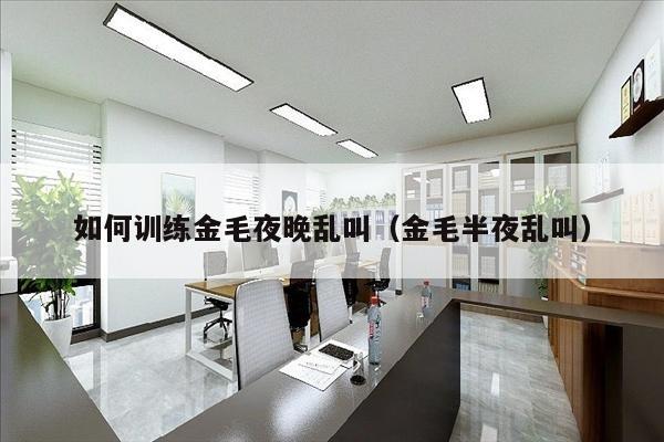 如何训练金毛夜晚乱叫（金毛半夜乱叫）